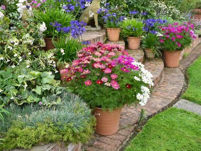 container-gardening-tips