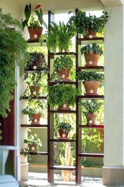 indoor-gardening-guide